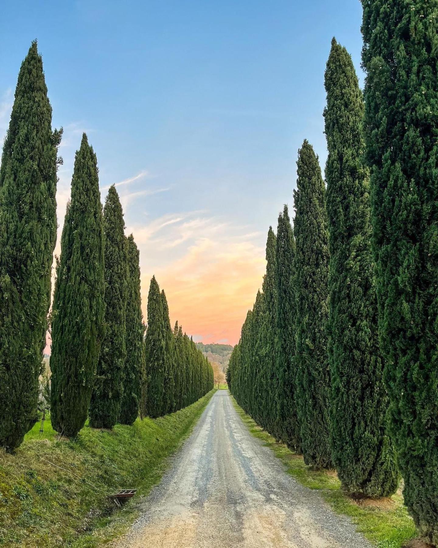 Вилла Fattoria Fibbiano Terricciola Экстерьер фото