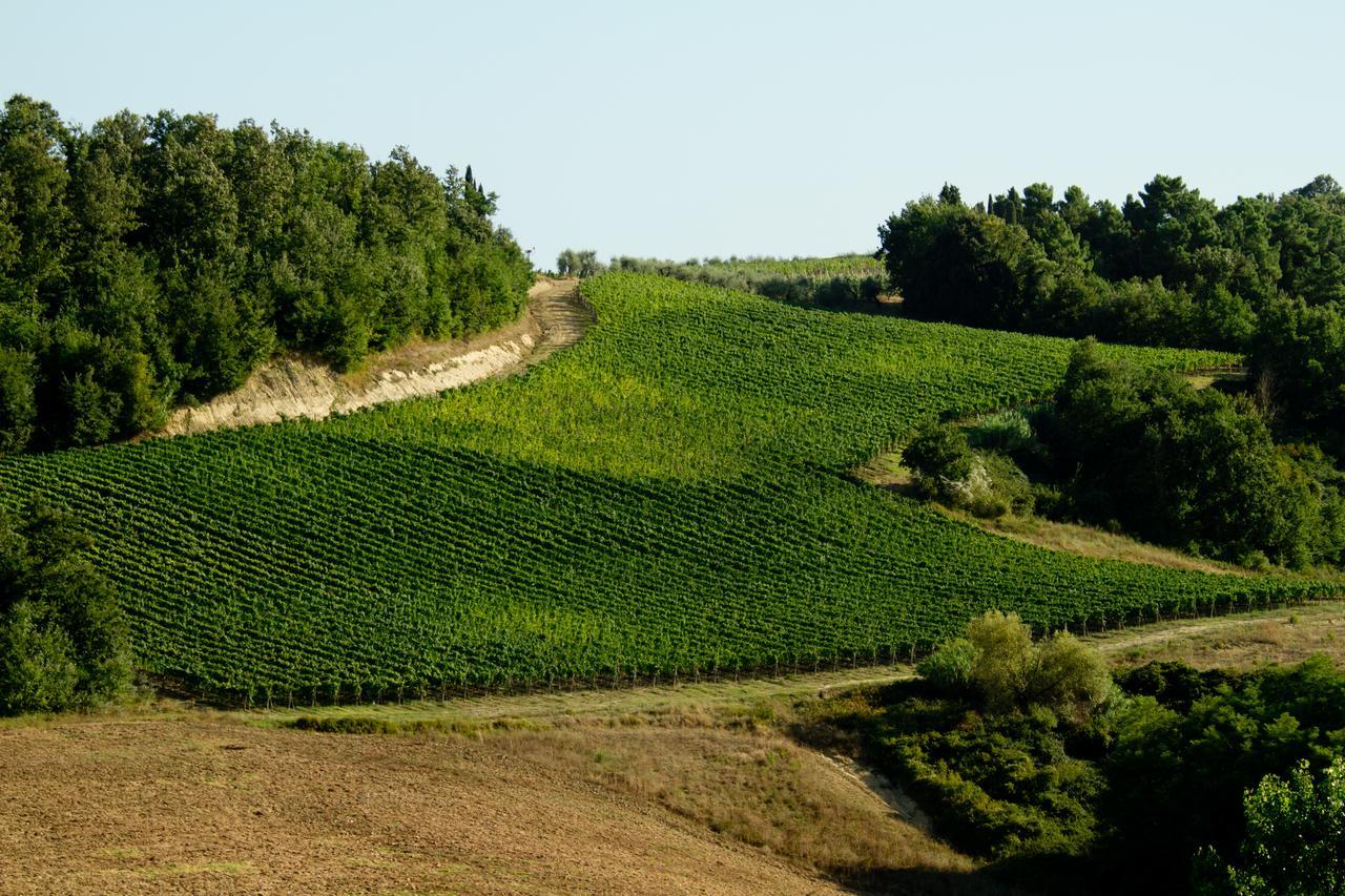 Вилла Fattoria Fibbiano Terricciola Экстерьер фото