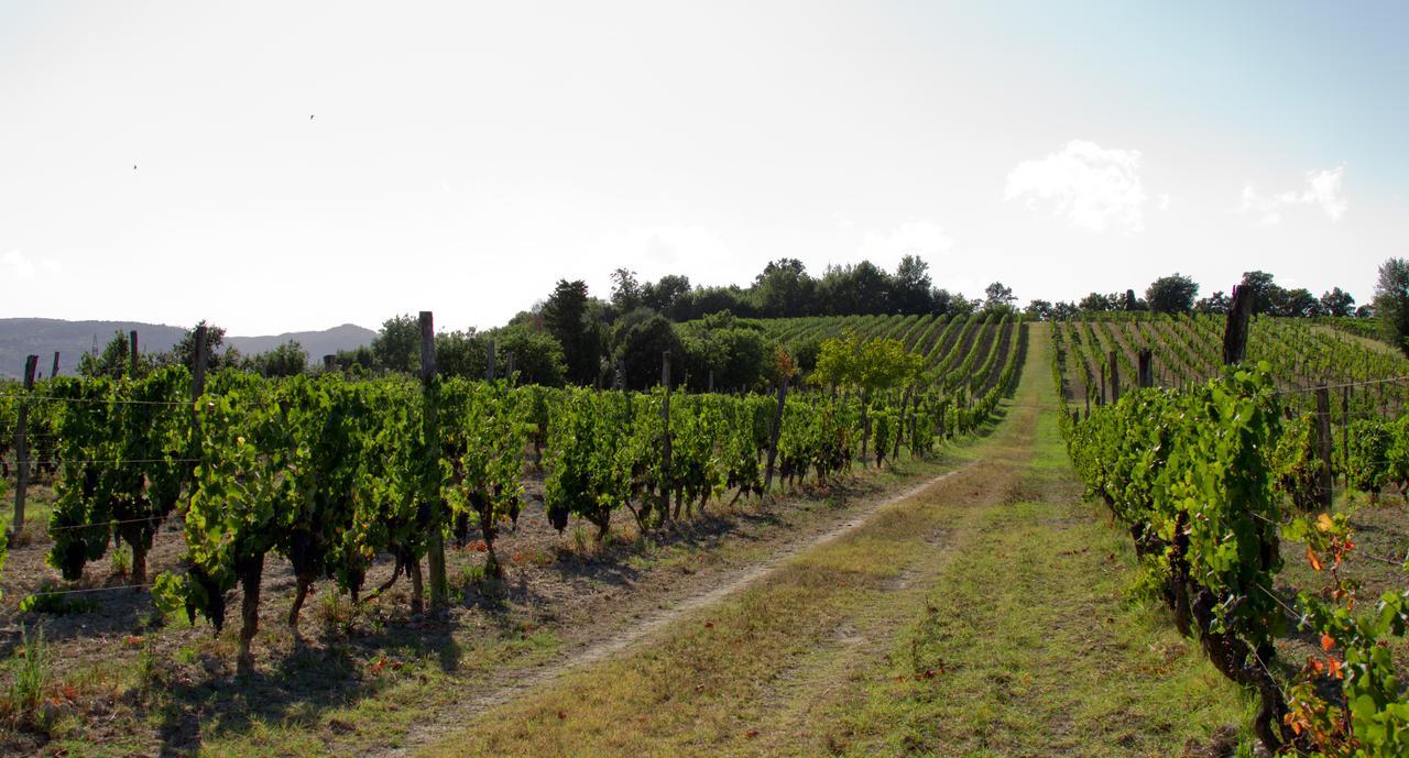 Вилла Fattoria Fibbiano Terricciola Экстерьер фото