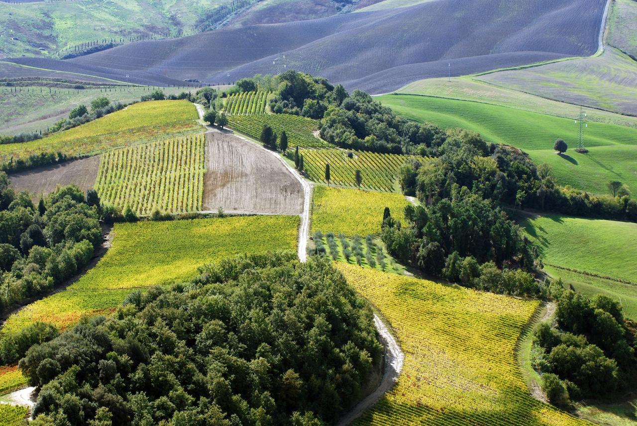 Вилла Fattoria Fibbiano Terricciola Экстерьер фото